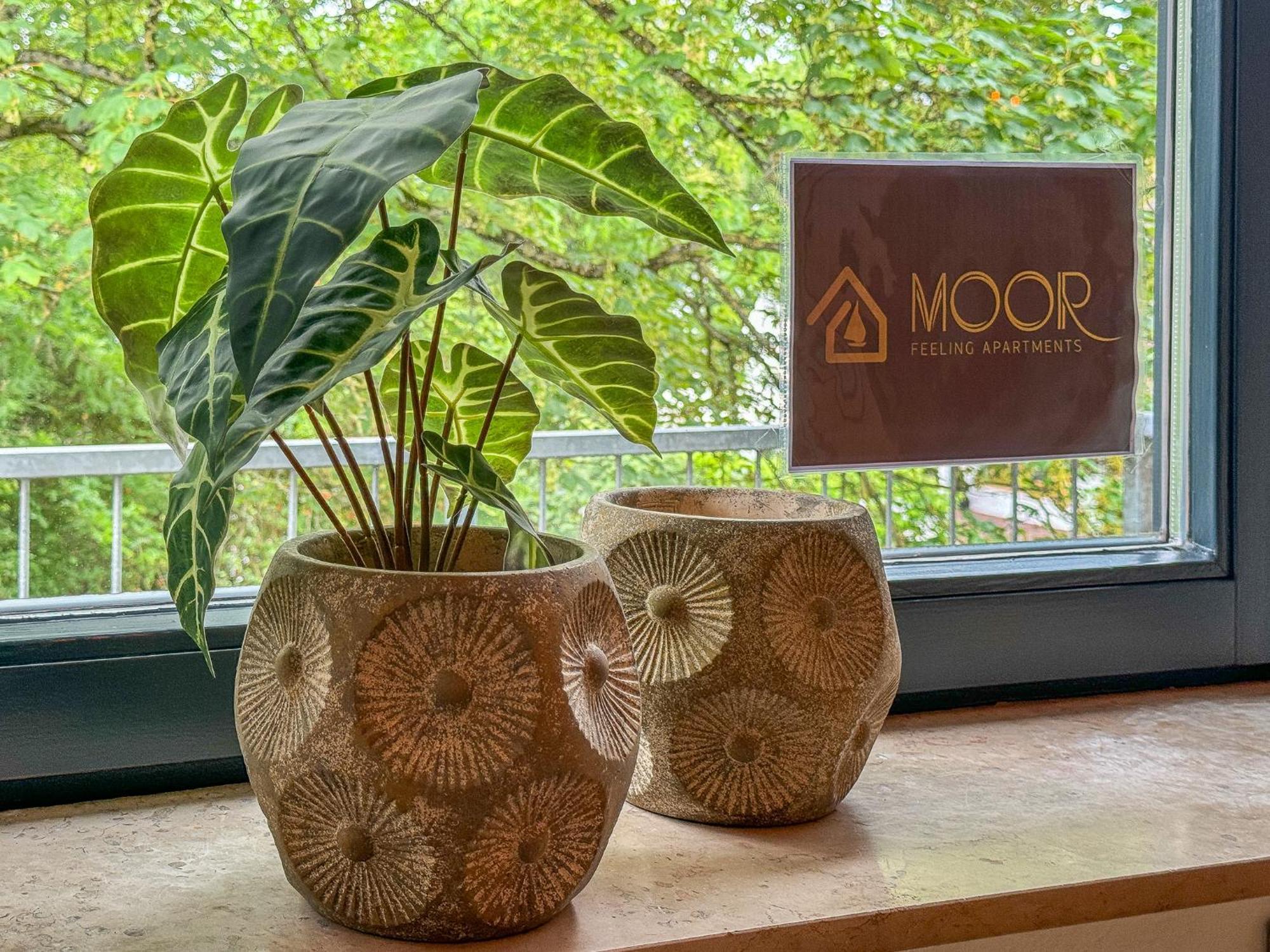 Moor Feeling Apartments Worpswede Eksteriør bilde